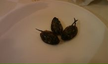 Дмитрий Икар фотография #7 (источник - https://vk.com/id2047683)