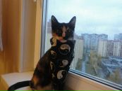 Фотография Болохоновой Татьяны