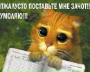 Іван Свідзінський фотография #10 (источник - https://vk.com/id153778685)