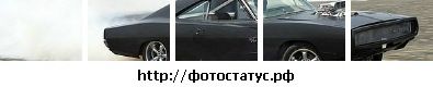 Василь Звір фотография #16 (источник - https://vk.com/id109279505)