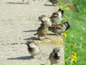 Дмитрий Дмитриченко фотография #38 (источник - https://vk.com/id5134906)