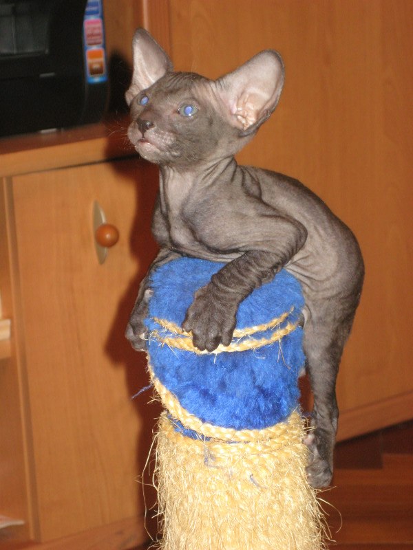 Kovaleva Kovaleva фотография #21