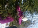 Юлюсік Мельник фотография #38 (источник - https://vk.com/id142312745)