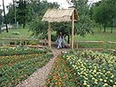 Наталія Лаптєва фотография #20 (источник - https://vk.com/id6456716)