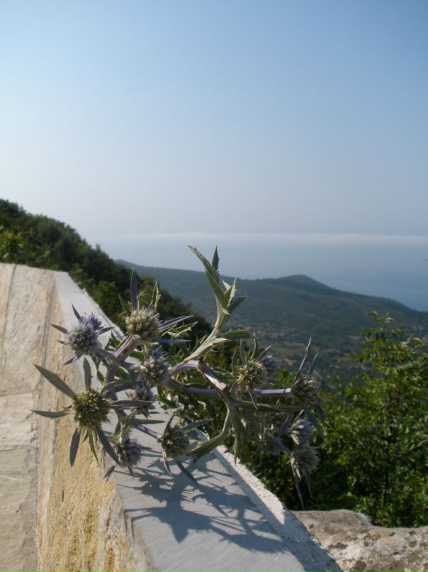 Antonio Fedoro фотография #28