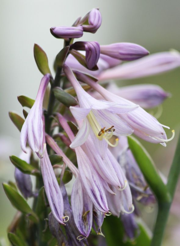 Александр Дру фотография #49