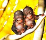 Фотография Мистюка Александра