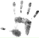 Фотография Иванова Данила