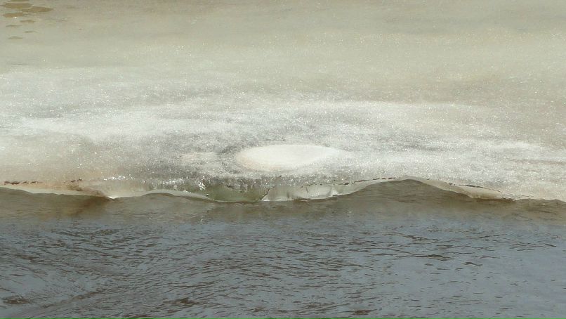 Сергей Рылов фотография #39