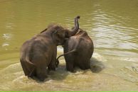 Даша Дашина фотография #4 (источник - https://vk.com/id2891457)