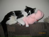 Фотография Новицкой Анны