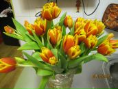 Фотография Гавшиной Анастасии