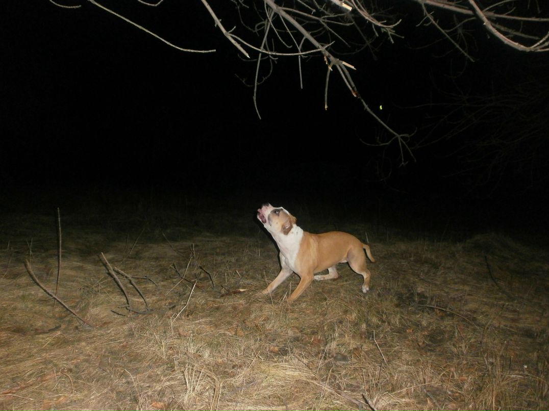 Роман Василенко фотография #45