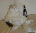 Сергей Розумий фотография #39 (источник - https://vk.com/id2642833)