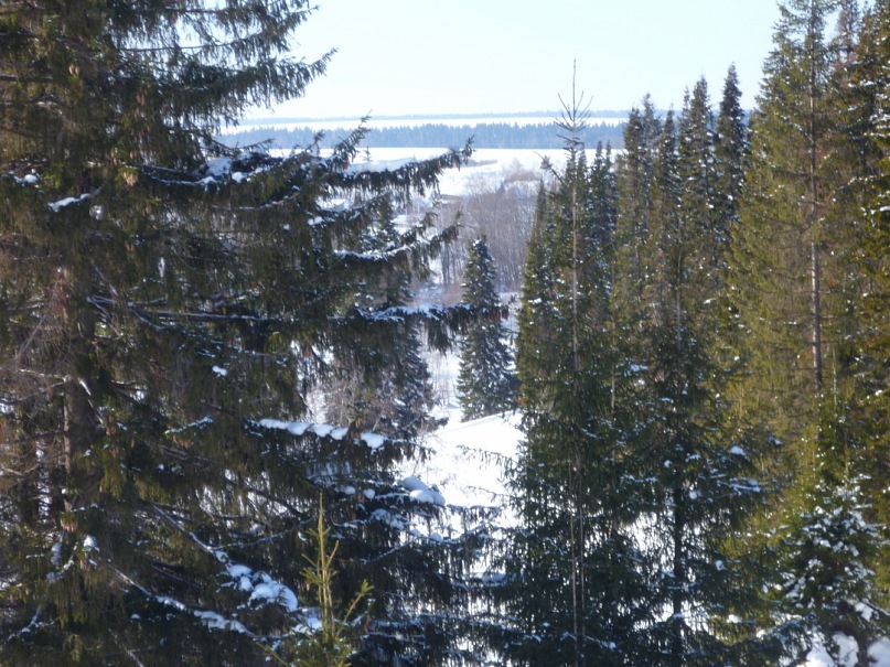 Алексей Евсеев фотография #37