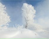 Фотография Мирошник Татьяны