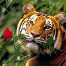 Сергій Гуцол фотография #8 (источник - https://vk.com/id19781509)