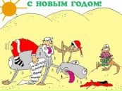 Фотография Альбрехт Яны