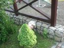 Оксана Федорів фотография #35 (источник - https://vk.com/id77308386)