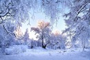 Андріана Піхоцька фотография #24 (источник - https://vk.com/id138860473)