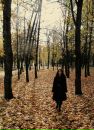 Фотография Скляр Елены