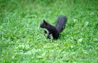 Алёна Ушакова фотография #46 (источник - https://vk.com/id347677)