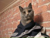 Фотография Сергеенко Марии