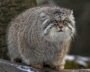 Фотография Усольцевой Татьяны