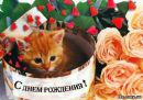 Іван Ващак фотография #4 (источник - https://vk.com/id169281520)