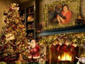 Фотография Васильевой Елены