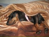 Фотография Фролин Игорь