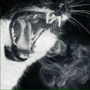 Игорь Кабанов фотография #32 (источник - https://vk.com/id71761837)