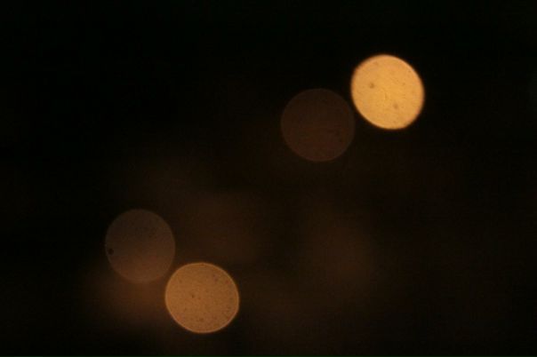 Марк Михайлов фото №15