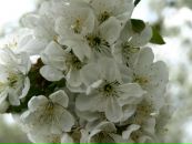 Фотография Шелест Анастасии