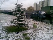 Фотография Морозовой Натальи