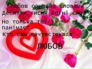 Юля Вівчар фотография #30 (источник - https://vk.com/id108620733)