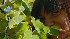 Фотография Некипеловой Александры