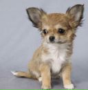 Фотография Хайдукова Массажист Марины