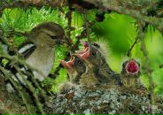 Екатерина Дорофеева фотография #8 (источник - https://vk.com/id557128)