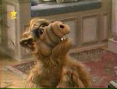 Фотография Патахова Абдулы