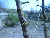 Костянтин Стеріхов фотография #1