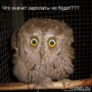 Андрій Львов фотография #46 (источник - https://vk.com/id28441248)