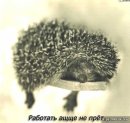 Олексій Гуцуляк фотография #38 (источник - https://vk.com/id12343859)