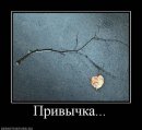 Андрій Чернецький фотография #40 (источник - https://vk.com/id18744615)