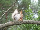 Фотография Селивановой-Психолог Юлии