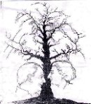 Foolish Creature фотография #12 (источник - https://vk.com/id3454555)