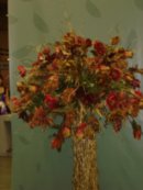 Анна Ершова фотография #10 (источник - https://vk.com/id4041552)