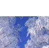 Ірина Хемич фотография #8 (источник - https://vk.com/id76051536)