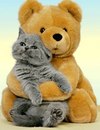 Юлічка Глушко фотография #13 (источник - https://vk.com/id153184276)