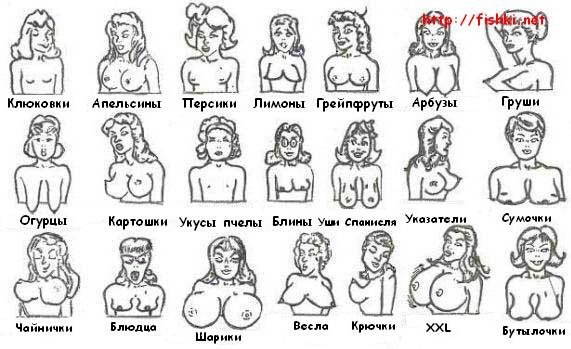 №4, Игорь Петров №4, Игорь Петров